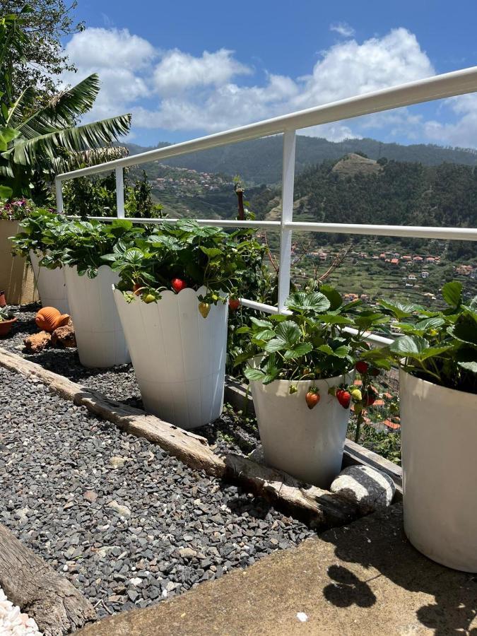 里贝拉布拉瓦Tropical House别墅 外观 照片